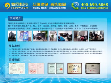 低价网站建设公司,优化网站价格