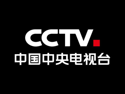 英语CCTV什么意思
