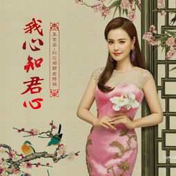 王紫菲是何许人？