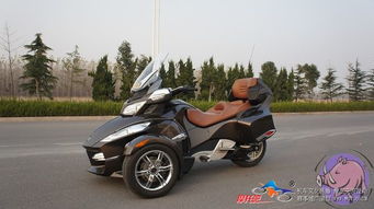 鸟车的Birdy启示录