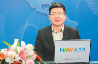 王海波的个人履历