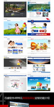 请简述什么是"高端网站建设"，"定制设计开发"又是