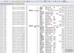 怎么用身份证查询自己的名字