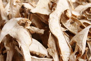 松茸的营养价值及功效与作用