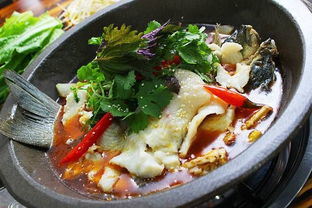 石锅鱼的做法？