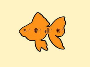 宠幸是什么意思是什么意,男生对女生说宠幸是什么意思