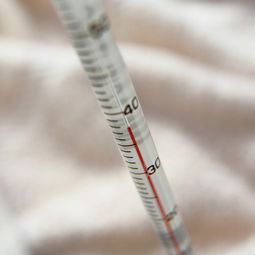 电子体温表怎么调试,电子体温表怎样测量