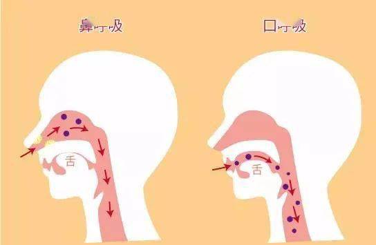 口呼吸的危害图片