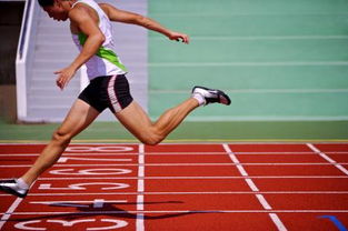 田赛和径赛的区别