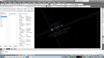 perform to,perform to celebrate