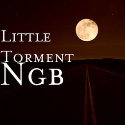 CHDTV和NGB有什么区别