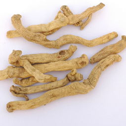 玉竹泡水喝的五大禁忌