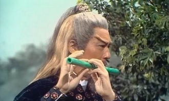 求问北丐洪七公是怎么死的?