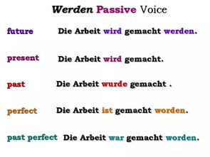 边坡被动防护网,被动防护网的安装