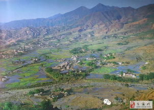 福建安溪IP多少？可以用的噢，