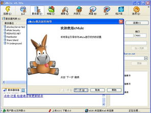 怎样在电驴网下载电影