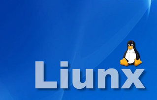 目前linux系统哪个版本比较好用，哪里可以下载！
