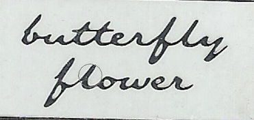 文字的英文怎么读