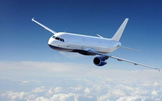 北京到上海坐飞机要多久？