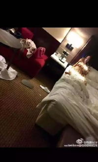 马蓉近期消息,马蓉再度怀孕