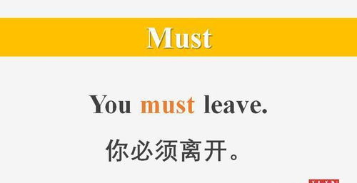 must什么意思