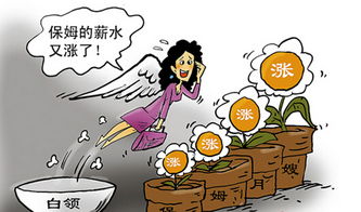 白领创业项目,白领创业故事