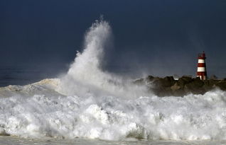 海啸预警准确吗,海啸预警对于远洋海啸还是近海海啸准