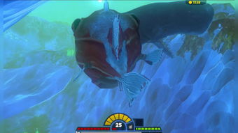 灯笼鱼简介(🐠🐟)