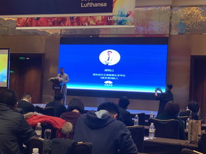 校内网，开心网，飞客网哪个网站的人多一点？