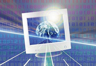 信息处理进人了计算机世界，实质上是进入了_______