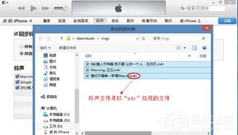 苹果手机和itunes怎么同步？