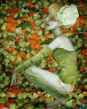 厦门小鱼网,厦门小鱼号酸菜鱼