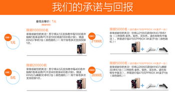 苏宁易购的众筹是什么意思