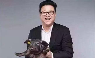 丁三石人品如何？