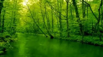 感受生命阳光是哪首歌的歌词