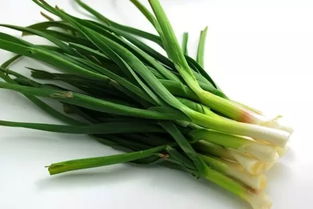 种蒜苗的方法和步骤视频