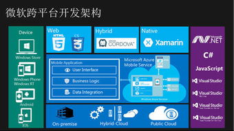 微软的系统有哪些？？？？