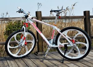 为什么「永久牌」山地车这么不受认可？