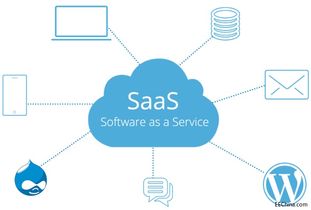 SaaS软件是什么