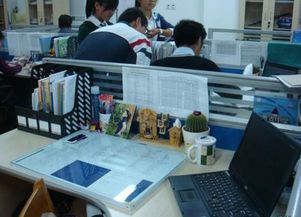 什么是大学生自主创业？