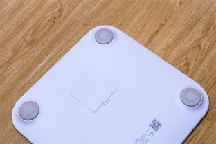 华为智能体脂秤和小米体脂秤哪个好