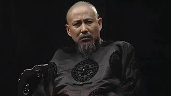 胡雪岩为何被称为“红顶商人？