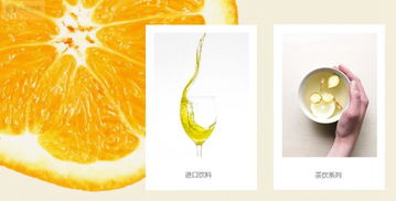 做一个商城网站，选择大橙子网络这家网站建设公司