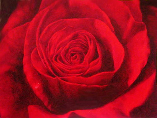 玫瑰花油画名画梵高，玫瑰花油画图片