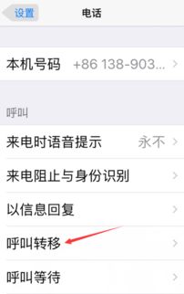 呼叫转移号码怎么设置