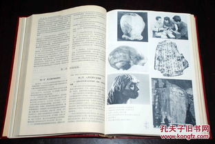 中国百科全书是什么