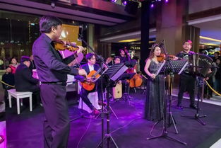 有哪些高雅音乐？