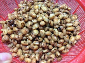 炒豆子怎么炒的松又脆窍门