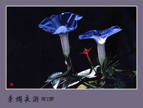 秉烛夜游的秉是什么意思