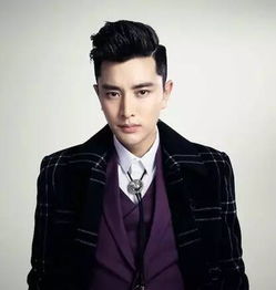 贾乃亮个人资料 籍贯